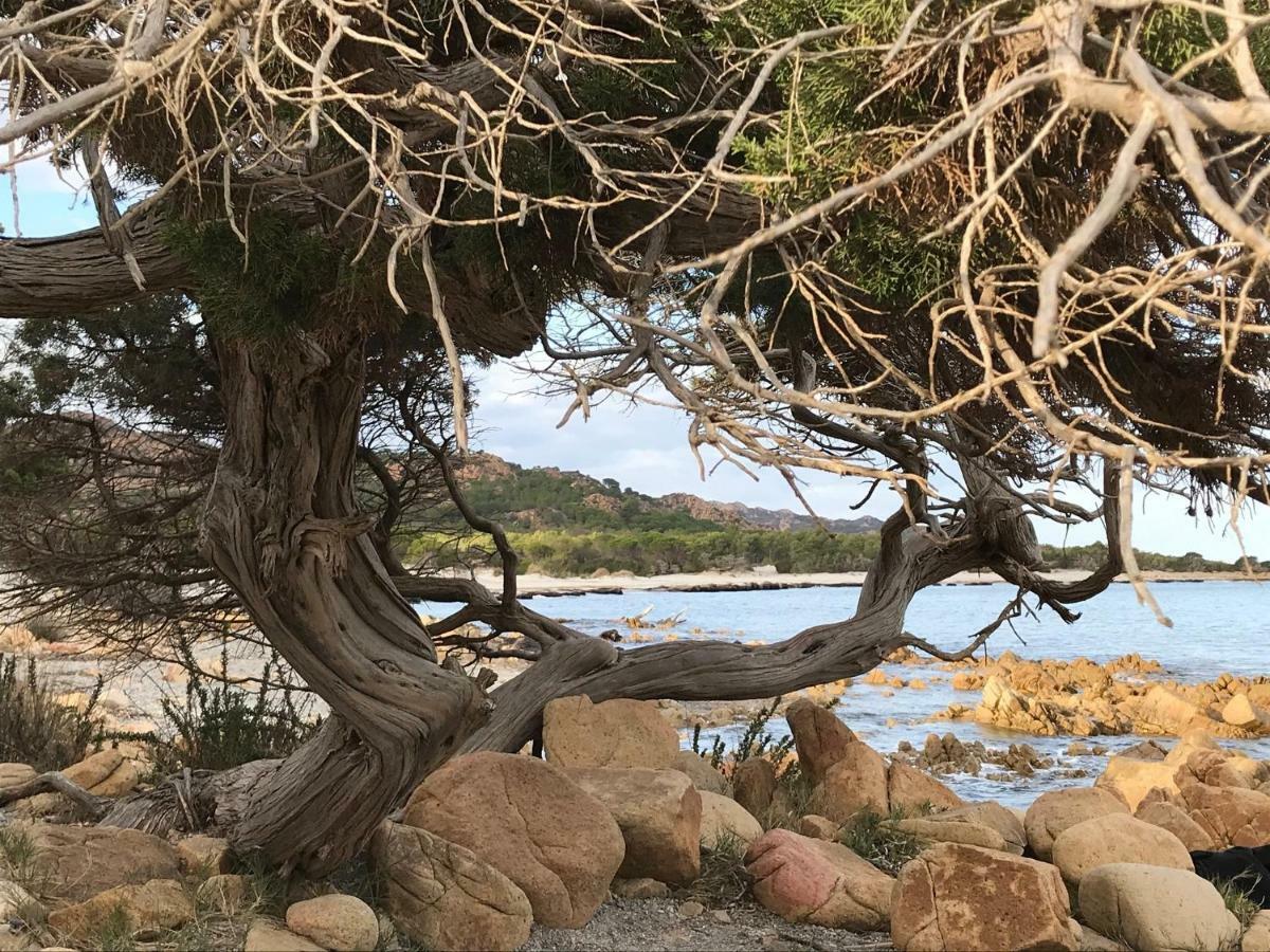 Villa Cavour - Doppelhaushaelfte Budoni Bagian luar foto